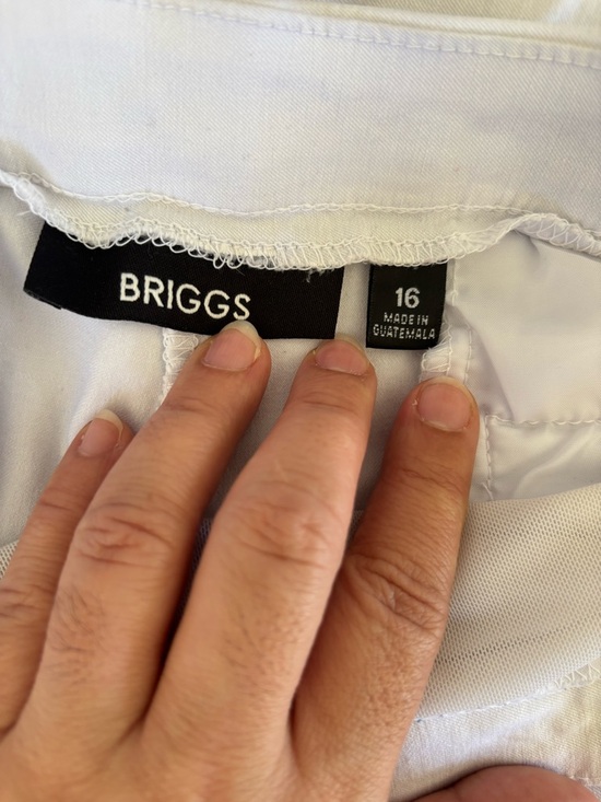 Briggs Pants, Size 16. GUC - Picture 5 of 8